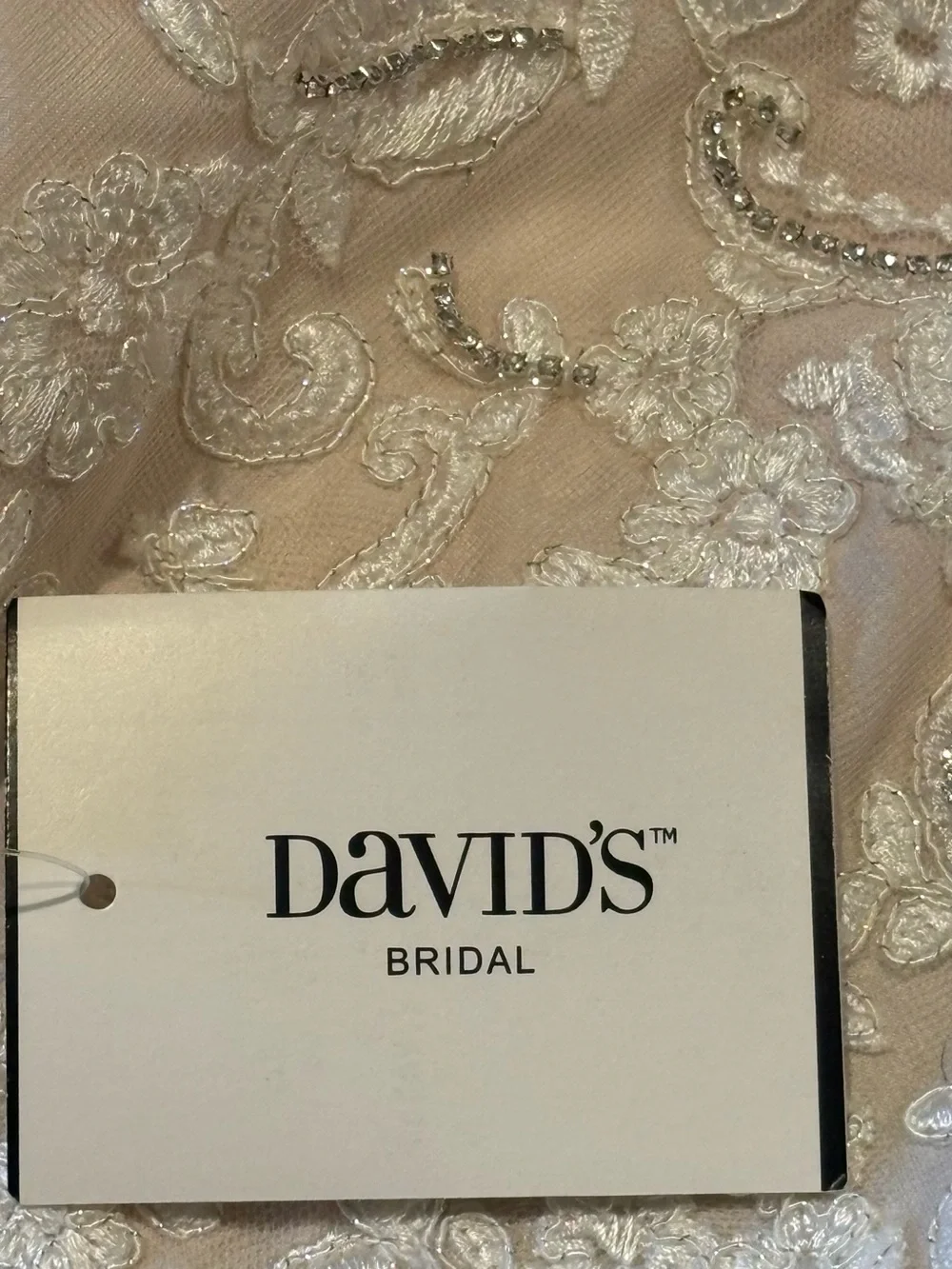 👑Princess Dress by David's Bridal Blush Lace & Tulle with Rhinestone Accents NWT - Picture 3 of 16